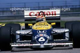 Nelson Piquet (BRA) Williams FW11 Honda 1st position