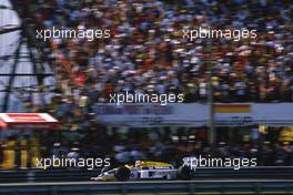 Nelson Piquet (BRA) Williams FW11 Honda 1st position