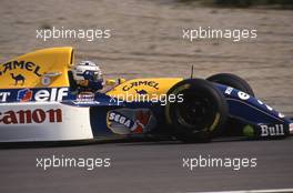 Alain Prost (FRA) Williams FW15C Renault 1st position
