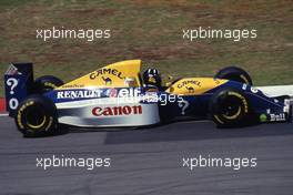 Damon Hill (GBR) Williams FW15C Renault