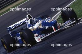 Damon Hill (GBR) Williams FW18 Renault 1st position