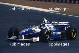 Damon Hill (GBR) Williams FW18 Renault Rothmans Williams Renault 1st position