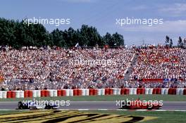 Formula One Championship 1996 - Michael Schumacher - Ferrari F310