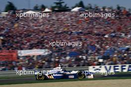 Damon Hill (GBR) Williams FW18 Renault Rothmans Williams Renault 1st position