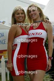 05.03.2004 Melbourne, Australia, F1, Friday, March, Denso Girls. Formula 1 World Championship, Rd 1, Australian Grand Prix. www.xpb.cc, EMail: info@xpb.cc - copy of publication required for printed pictures. Every used picture is fee-liable. c Copyright: photo4 / xpb.cc - LEGAL NOTICE: THIS PICTURE IS NOT FOR ITALY  AND GREECE  PRINT USE, KEINE PRINT BILDNUTZUNG IN ITALIEN  UND  GRIECHENLAND!