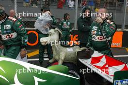 24.10.2004 Interlagos, Brazil, F1, Sunday, October, "donkey" - Formula 1 World Championship, Rd 18, Brazilian Grand Prix, BRA, Brazil, Grid