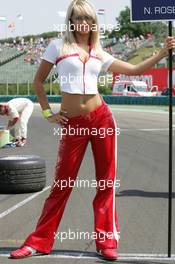 30.07.2005 Hungaroring, Hungary, grid girl - July, Formula 1 World Championship, Rd 13, Hungarian Grand Prix, Budapest, Hungary, HUN