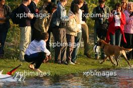 01.09.2006 Zandvoort, The Netherlands,  A dog walking away with the hat of Tom Kristensen (DNK), Audi Sport Team Abt Sportsline, Portrait after he turned over in the water at the Audi boatchallenge at the little lake in the centre of Zandvoort Circuit - DTM 2006 at Zandvoort, The Netherlands (Deutsche Tourenwagen Masters)