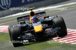 14.07.2006 Magny Cours, France,  Robert Doornbos (NED), Test driver Red Bull Racing RB2 - Formula 1 World Championship, Rd 11, French Grand Prix, Friday Practice