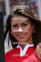 21.10.2007 Sao Paulo, Brazil,  Grid girl - Formula 1 World Championship, Rd 17, Brazilian Grand Prix, Sunday Grid Girl