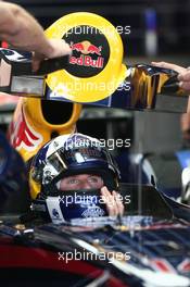 15.06.2007 Indianapolis, USA,  David Coulthard (GBR), Red Bull Racing - Formula 1 World Championship, Rd 7, United States Grand Prix, Friday Practice