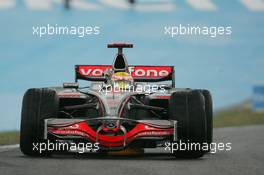 02.11.2008 Sao Paulo, Brazil,  Winner, Lewis Hamilton (GBR), McLaren Mercedes, MP4-23 - Formula 1 World Championship, Rd 18, Brazilian Grand Prix, Sunday Race