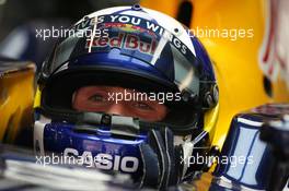 17.10.2008 Shanghai, China,  David Coulthard (GBR), Red Bull Racing - Formula 1 World Championship, Rd 17, Chinese Grand Prix, Friday Practice