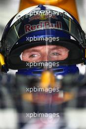 20.06.2008 Magny Cours, France,  David Coulthard (GBR), Red Bull Racing - Formula 1 World Championship, Rd 8, French Grand Prix, Friday Practice