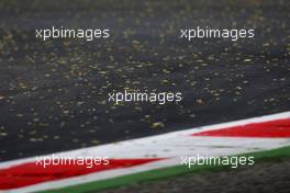 12.09.2008 MOnza, Italy,  Leaves on the circuit - Formula 1 World Championship, Rd 14, Italian Grand Prix, Friday Practice