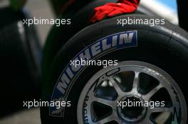09.04.2009 Portimao, Portugal,  Michelin Tyres - A1GP World Cup of Motorsport 2008/09, Round 6, Algarve, Thursday - Copyright A1GP - Free for editorial usage