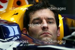 Mark Webber (AUS), Red Bull Racing  - Formula 1 World Championship, Rd 16, Brazilian Grand Prix, Friday Practice