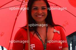 18.10.2009 Sao Paulo, Brazil,  Grid girl - Formula 1 World Championship, Rd 16, Brazilian Grand Prix, Sunday Grid Girl
