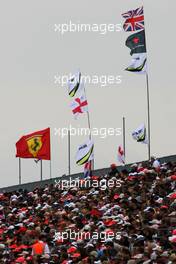 21.06.2009 Silverstone, England,  Fans - Formula 1 World Championship, Rd 8, British Grand Prix, Sunday Pre-Race Grid