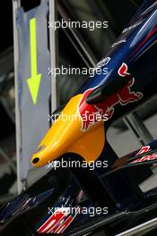 02.04.2009 Kuala Lumpur, Malaysia,  Red Bull Racing front wing detail - Formula 1 World Championship, Rd 2, Malaysian Grand Prix, Thursday