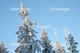 29.11.2010, Oestersund, Sweden (SWE): Biathlon Feature: Trees with snow - IBU world cup biathlon, training, Oestersund (SWE). www.xpb.cc. © Manzoni/xpb.cc/NordicFocus. Every downloaded picture is fee-liable.