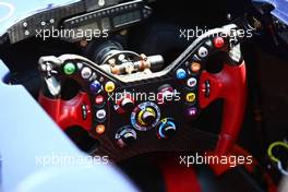 24.06.2010 Valencia, Spain,  Toro Rosso steering wheel - Formula 1 World Championship, Rd 9, European Grand Prix, Thursday