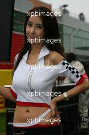 24.10.2010 Yeongam, Korea,  Grid girl - Formula 1 World Championship, Rd 17, Korean Grand Prix, Sunday Grid Girl