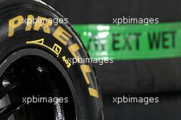 25.03.2011 Melbourne, Australia,  Pirelli tyres  - Formula 1 World Championship, Rd 01, Australian Grand Prix, Friday Practice