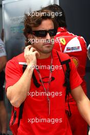 24.11.2011 Interlargos, Brazil,  Fernando Alonso (ESP), Scuderia Ferrari  - Formula 1 World Championship, Rd 19, Brazilian Grand Prix, Thursday