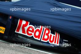 01.02.2011 Valencia, Spain,  RB7 - Red Bull Racing RB7 Launch - Formula 1 World Championship