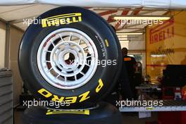 01.02.2011 Valencia, Spain,  Pirelli tyres - Formula 1 Testing - Formula 1 World Championship 2011