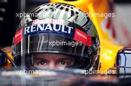 Sebastian Vettel (GER) Red Bull Racing RB8. 23.11.2012. Formula 1 World Championship, Rd 20, Brazilian Grand Prix, Sao Paulo, Brazil, Practice Day.