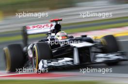 Pastor Maldonado (VEN) Williams FW34. 27.07.2012. Formula 1 World Championship, Rd 11, Hungarian Grand Prix, Budapest, Hungary, Practice Day