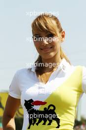 Grid girl. 29.07.2012. Formula 1 World Championship, Rd 11, Hungarian Grand Prix, Budapest, Hungary, Race Day