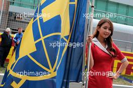 Grid girl. 14.10.2012. Formula 1 World Championship, Rd 16, Korean Grand Prix, Yeongam, South Korea, Race Day.