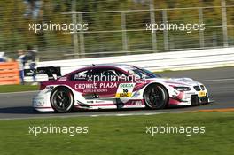 Andy Priaulx (GBR) BMW Team RMG BMW M3 DTM, 19.10.2013, DTM Round 10, Hockenheim, Germany, Saturday.