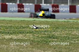 Giedo van der Garde (NLD) Caterham CT03 passes a bird in the grass. 02.03.2013. Formula One Testing, Day Three, Barcelona, Spain.