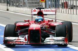 Fernando Alonso (ESP) Ferrari F138 running flow-vis paint on the fwin. 19.04.2013. Formula 1 World Championship, Rd 4, Bahrain Grand Prix, Sakhir, Bahrain, Practice Day