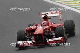 Felipe Massa (BRA) Ferrari F138. 22.11.2013. Formula 1 World Championship, Rd 19, Brazilian Grand Prix, Sao Paulo, Brazil, Practice Day.