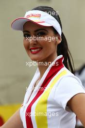 Grid Girl. 24.11.2013. Formula 1 World Championship, Rd 19, Brazilian Grand Prix, Sao Paulo, Brazil, Race Day.
