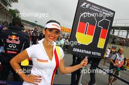Grid girl. 24.11.2013. Formula 1 World Championship, Rd 19, Brazilian Grand Prix, Sao Paulo, Brazil, Race Day.