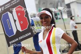Grid girl. 24.11.2013. Formula 1 World Championship, Rd 19, Brazilian Grand Prix, Sao Paulo, Brazil, Race Day.