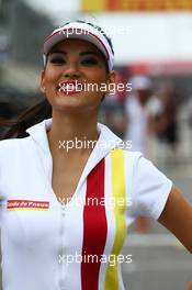 Grid Girl. 24.11.2013. Formula 1 World Championship, Rd 19, Brazilian Grand Prix, Sao Paulo, Brazil, Race Day.