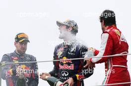 Sebastian Vettel (GER), Red Bull Racing, Mark Webber (AUS), Red Bull Racing and Fernando Alonso (ESP), Scuderia Ferrari  24.11.2013. Formula 1 World Championship, Rd 19, Brazilian Grand Prix, Sao Paulo, Brazil, Race Day.