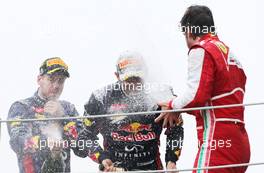 Sebastian Vettel (GER), Red Bull Racing, Mark Webber (AUS), Red Bull Racing and Fernando Alonso (ESP), Scuderia Ferrari  24.11.2013. Formula 1 World Championship, Rd 19, Brazilian Grand Prix, Sao Paulo, Brazil, Race Day.