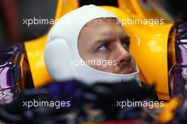 Sebastian Vettel (GER) Red Bull Racing RB9. 23.11.2013. Formula 1 World Championship, Rd 19, Brazilian Grand Prix, Sao Paulo, Brazil, Qualifying Day.