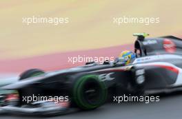 Esteban Gutierrez (MEX), Sauber F1 Team  23.11.2013. Formula 1 World Championship, Rd 19, Brazilian Grand Prix, Sao Paulo, Brazil, Qualifying Day.