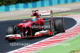 Felipe Massa (BRA) Ferrari F138. 26.07.2013. Formula 1 World Championship, Rd 10, Hungarian Grand Prix, Budapest, Hungary, Practice Day