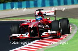 Fernando Alonso (ESP) Ferrari F138. 26.07.2013. Formula 1 World Championship, Rd 10, Hungarian Grand Prix, Budapest, Hungary, Practice Day