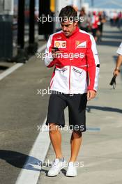 Fernando Alonso (ESP) Ferrari. 26.07.2013. Formula 1 World Championship, Rd 10, Hungarian Grand Prix, Budapest, Hungary, Practice Day